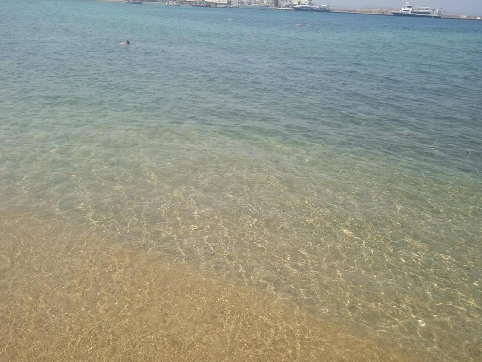 Anemones Sea View Leilighet Mykonos Town Eksteriør bilde